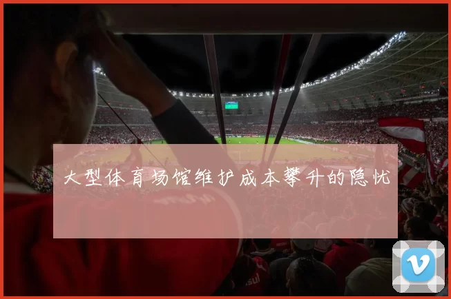 大型体育场馆维护成本攀升的隐忧