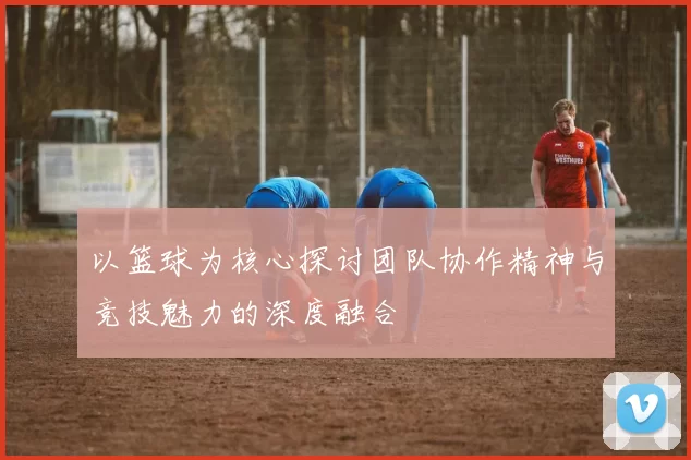 以篮球为核心探讨团队协作精神与竞技魅力的深度融合