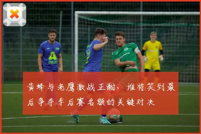 黄蜂与老鹰激战正酣，谁将笑到最后争夺季后赛名额的关键对决