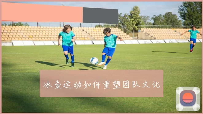 冰壶运动如何重塑团队文化