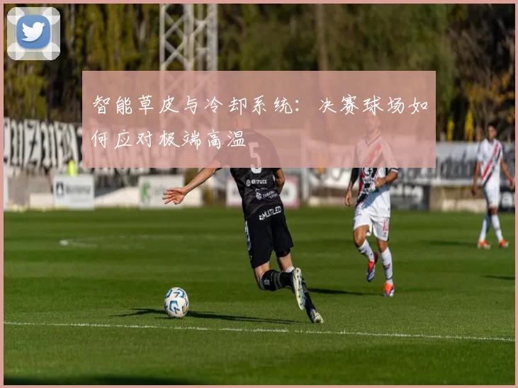 智能草皮与冷却系统：决赛球场如何应对极端高温