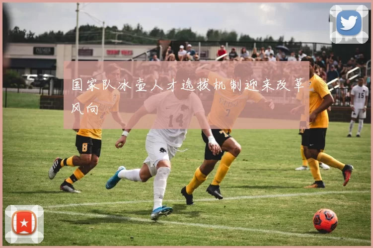 国家队冰壶人才选拔机制迎来改革风向
