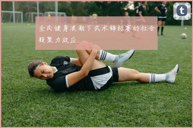 全民健身浪潮下武术锦标赛的社会凝聚力效应