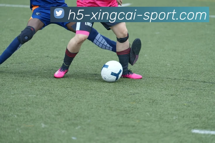 杏彩官网发展历程